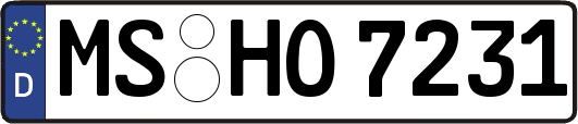 MS-HO7231