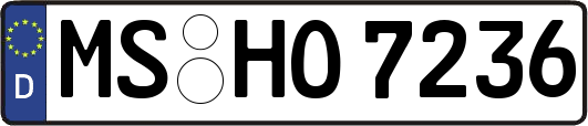MS-HO7236