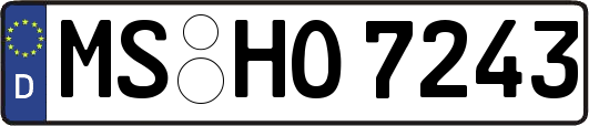 MS-HO7243