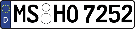 MS-HO7252