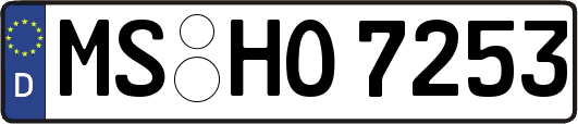 MS-HO7253