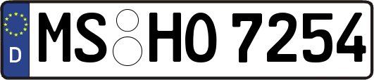 MS-HO7254