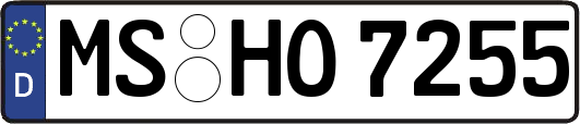MS-HO7255