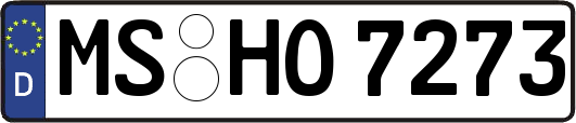 MS-HO7273