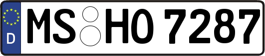 MS-HO7287