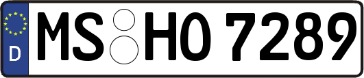 MS-HO7289