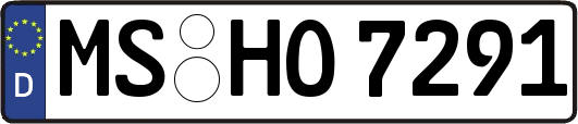 MS-HO7291