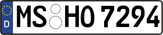 MS-HO7294