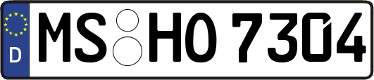 MS-HO7304