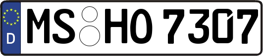 MS-HO7307