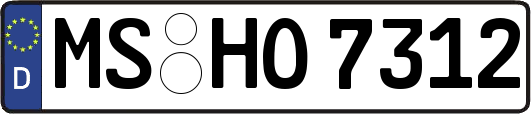 MS-HO7312