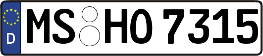 MS-HO7315