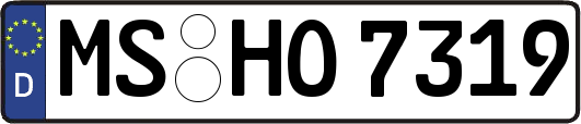 MS-HO7319