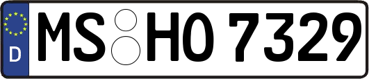 MS-HO7329