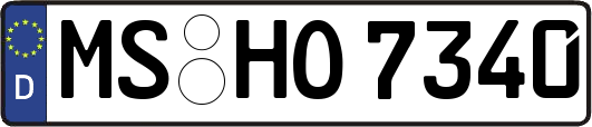MS-HO7340
