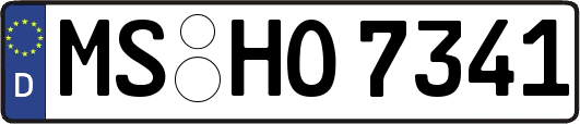 MS-HO7341