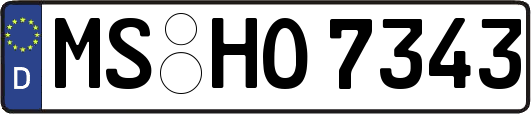 MS-HO7343
