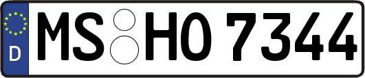 MS-HO7344