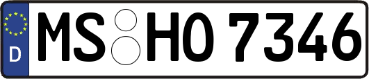 MS-HO7346