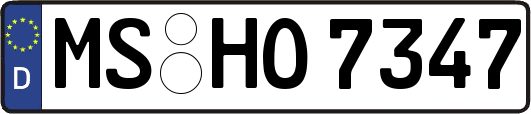 MS-HO7347