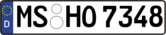 MS-HO7348