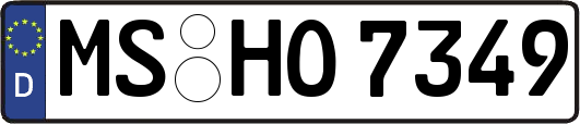 MS-HO7349