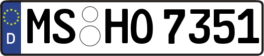 MS-HO7351