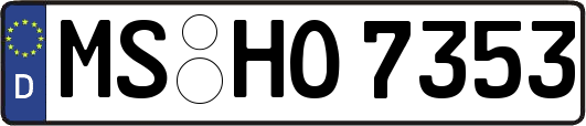 MS-HO7353