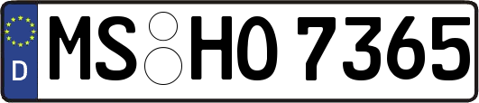 MS-HO7365