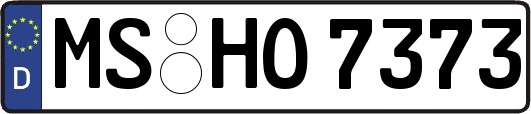 MS-HO7373