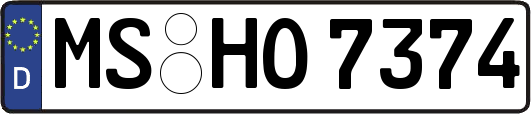 MS-HO7374