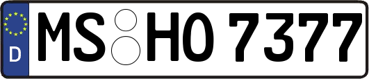 MS-HO7377