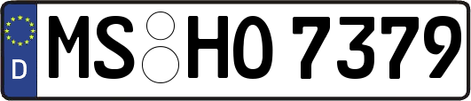 MS-HO7379