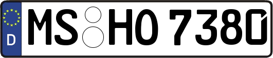 MS-HO7380