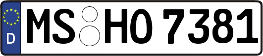 MS-HO7381