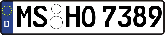 MS-HO7389