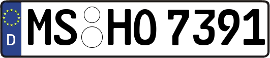 MS-HO7391