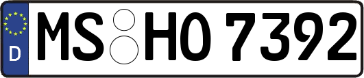 MS-HO7392