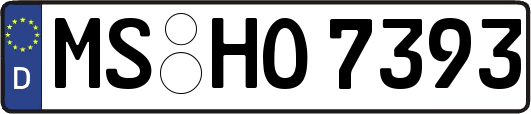 MS-HO7393