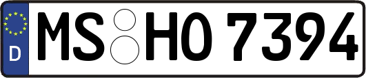 MS-HO7394