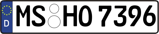 MS-HO7396