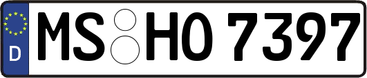 MS-HO7397