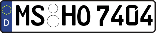 MS-HO7404