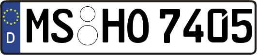 MS-HO7405