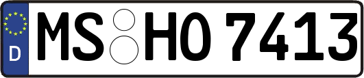 MS-HO7413