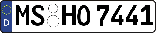 MS-HO7441