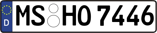 MS-HO7446