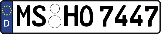 MS-HO7447