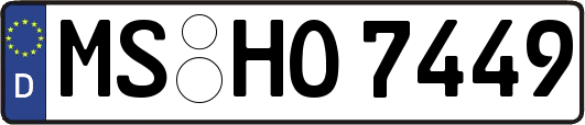 MS-HO7449