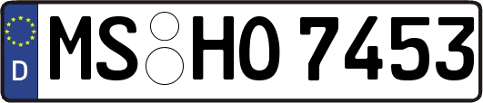 MS-HO7453